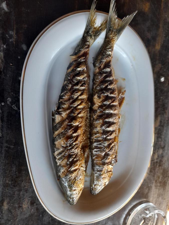 Slava RusaMonte Grego住宿加早餐旅馆 外观 照片